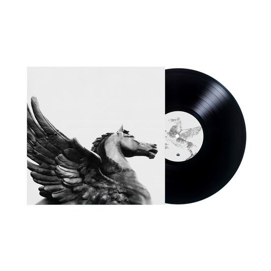 Vinyl "Pegasus" Black